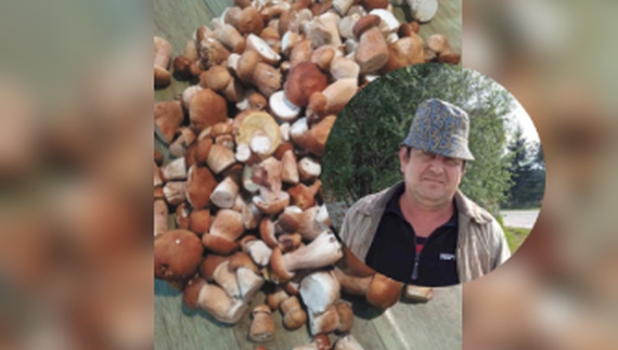 Попри обстріли і таблички "Міни": у прикордонних лісах сезон грибів