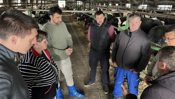 «Нашим коровам сподобалося», - фермер з Прилуччини розповів про досвід співпраці зі Швейцарським фондом
