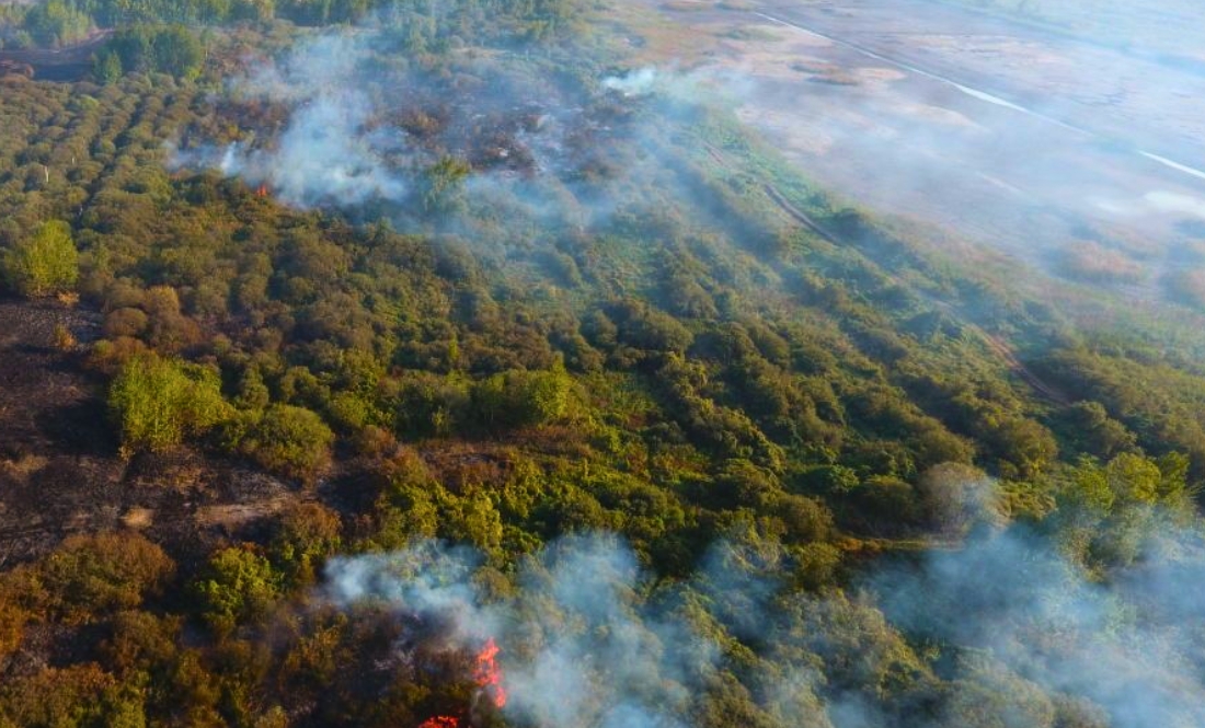 На прикордонні Чернігівщини горять торф’яники