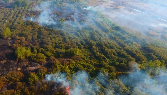 На прикордонні Чернігівщини горять торф’яники