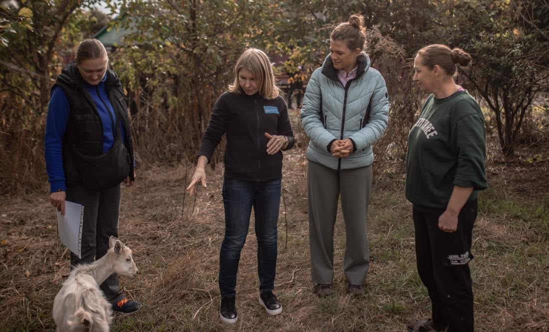 Утримують птицю і кіз: як родина переселенців із Донеччини облаштовує побут на Чернігівщині