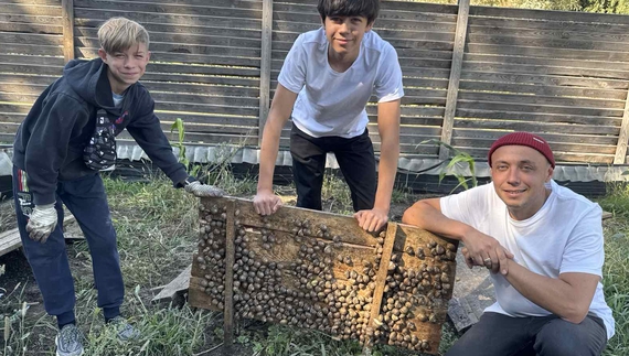 Максим, Тимур та Олександр Корнієвський тримають піддон з равликами