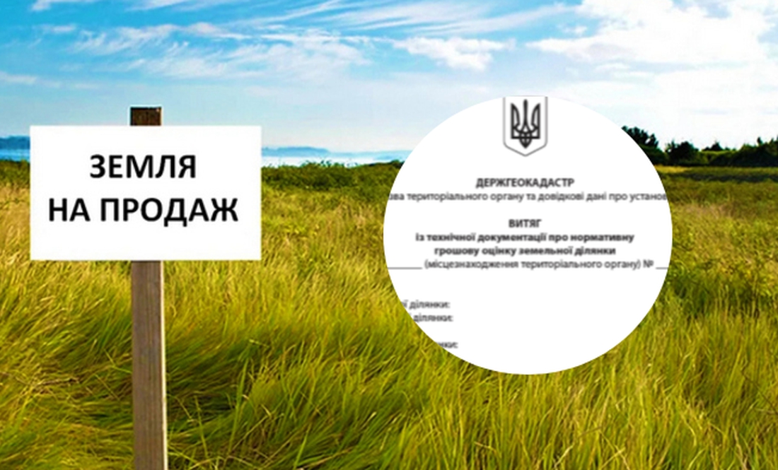 На Чернігівщині видали 150 тисяч витягів на оцінку землі: що це означає