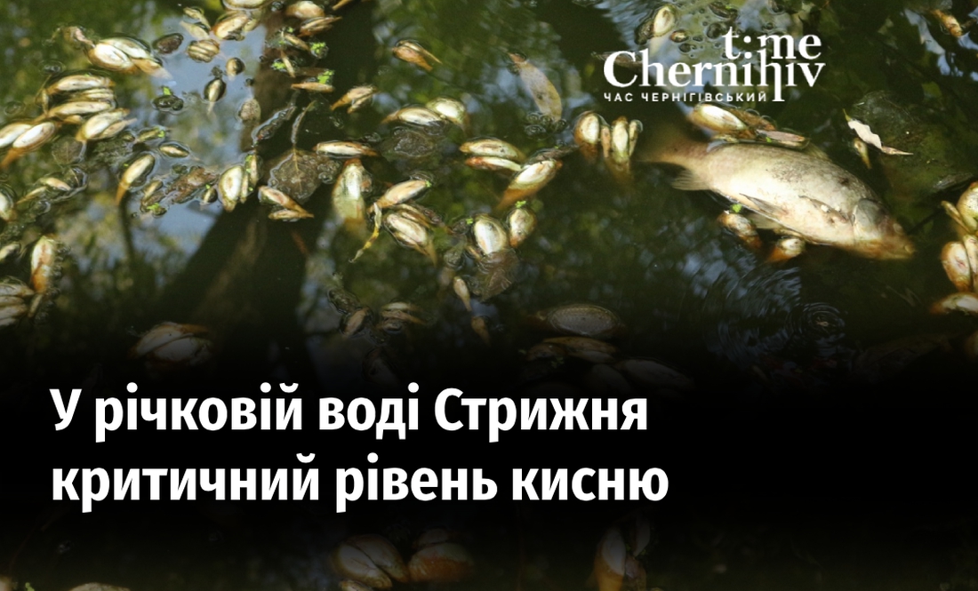 Обласний екологічний штаб досліджував чому у Стрижні масово гине риба