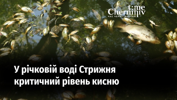 Обласний екологічний штаб досліджував чому у Стрижні масово гине риба