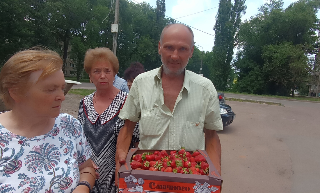 Городник із Ніжина збирає 500 кілограм полуниці з однієї сотки