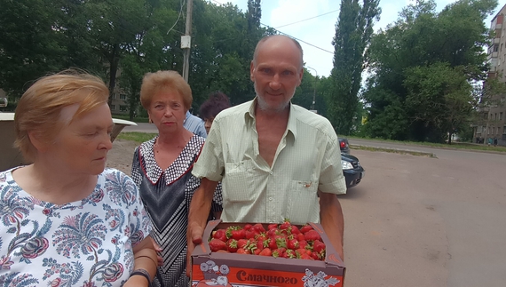 Городник із Ніжина збирає 500 кілограм полуниці з однієї сотки