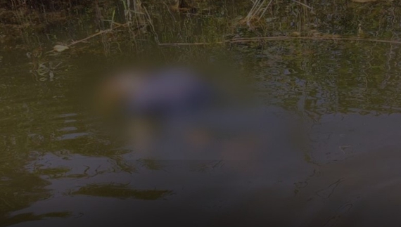 Трагічний інцидент на Чернігівщині: у водоймі потонула жінка