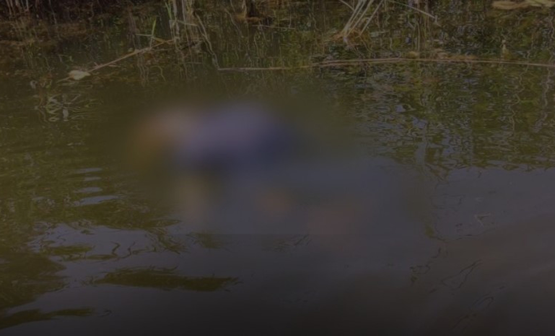 Трагічний інцидент на Чернігівщині: у водоймі потонула жінка