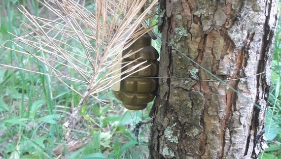 У лісі в прикордонній громаді виявили розтяжку із гранатою
