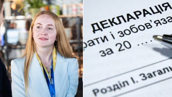 Юлія Дарницька порушила законодавство при подачі декларації