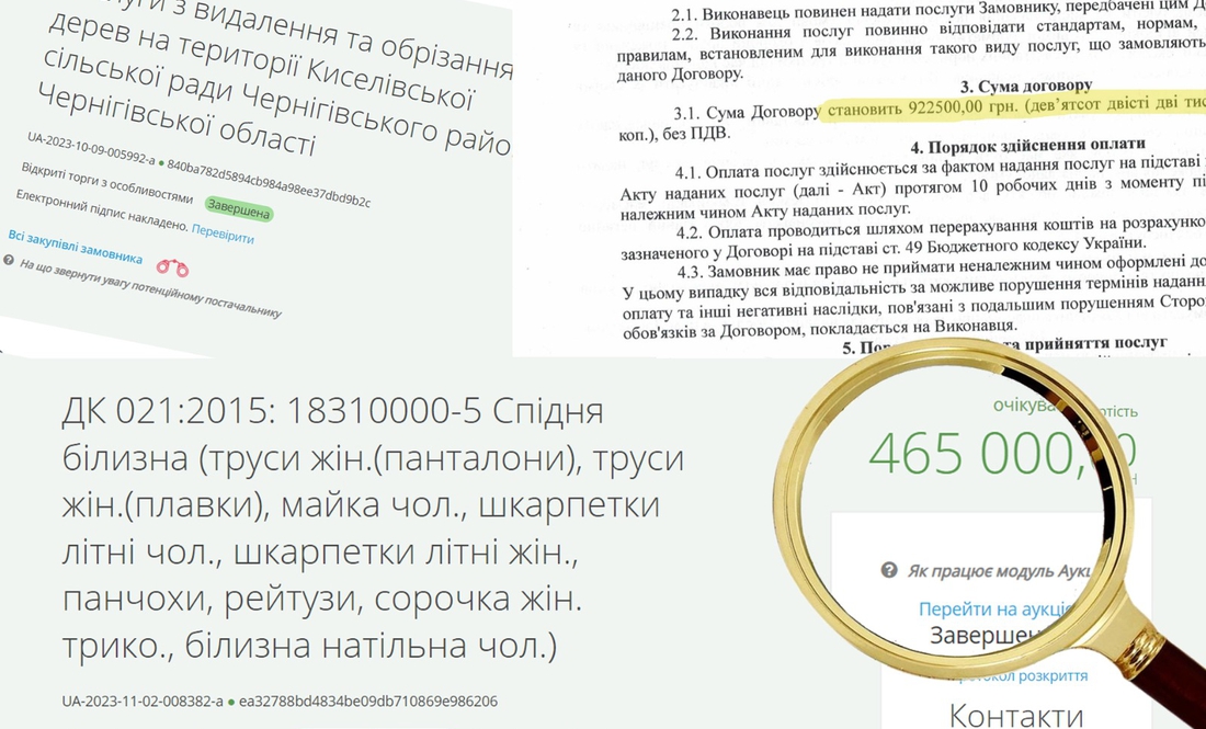 У Чернігові геріатричний пансіонат купив білизну у ФОП, який зареєстровано за 2 тижні до тендеру