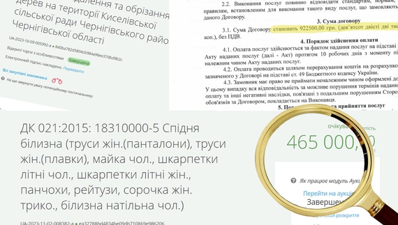 У Чернігові геріатричний пансіонат купив білизну у ФОП, який зареєстровано за 2 тижні до тендеру