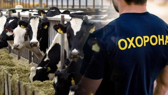 Чоловік із Чернігівщини у 66 років знайшов нову роботу: де тепер працює