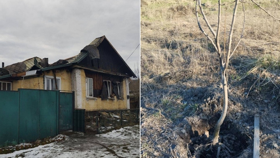 У жительки Семенівки, яка втратила дім через обстріл, з городу вкрали плодові дерева