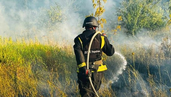 Через збиті безпілотники горіли поля та ліс. Фото ДСНС