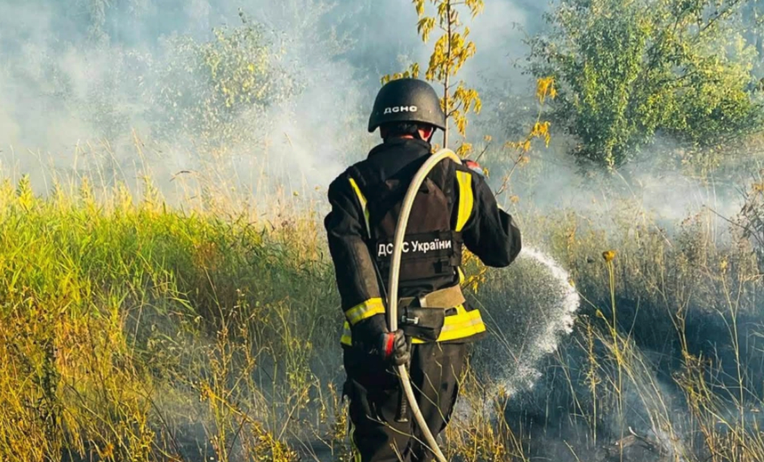 Через збиті безпілотники горіли поля та ліс. Фото ДСНС