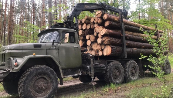 На Чернігівщині лісовоз насмерть задавив людину