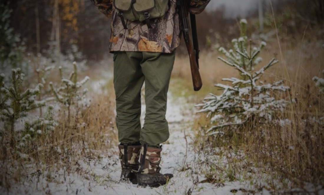 У громадах області будуть проводити відстріл хижаків. Зооволонтери шоковані