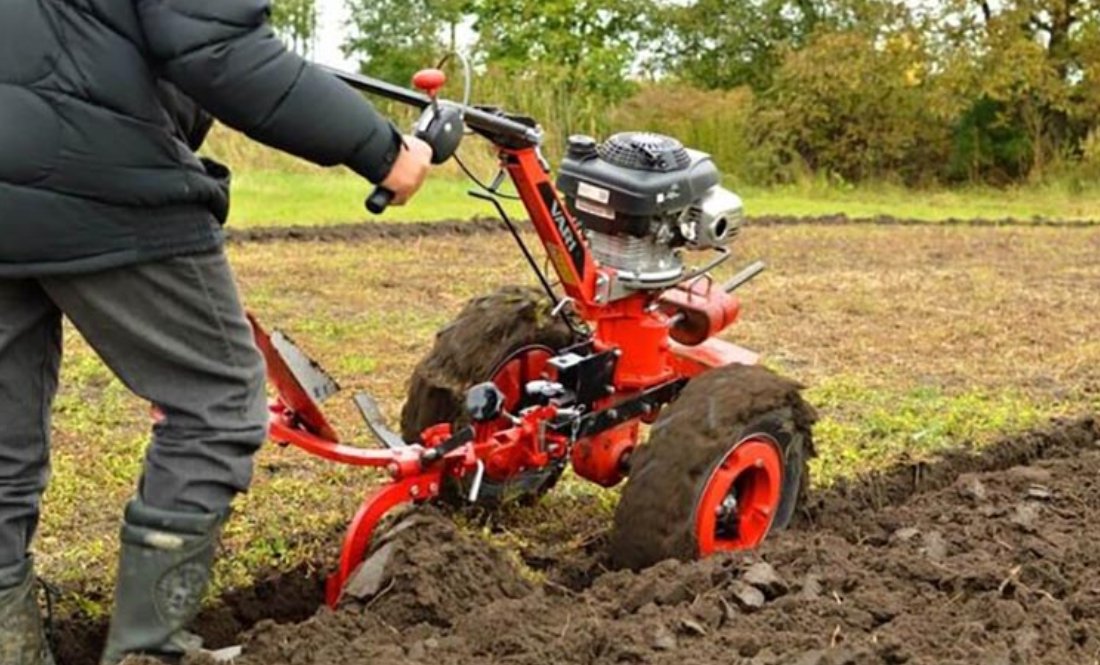 Мотоблоками — дорожче: почім орють на Чернігівщині