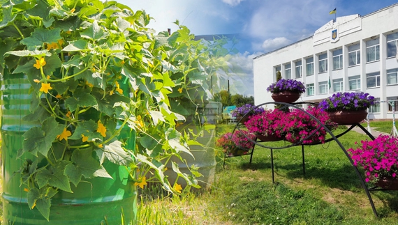 У місті на Чернігівщині замість квітів висадять огірки?