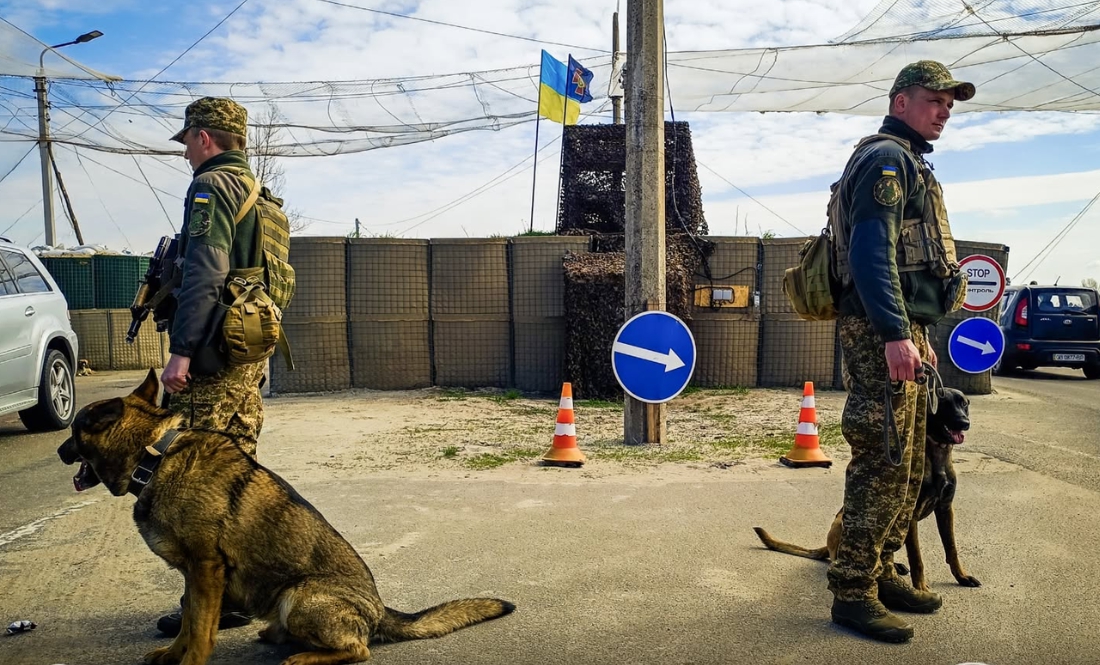 Гвардійці показали чотирилапих напарників: як служать на Чернігівщині