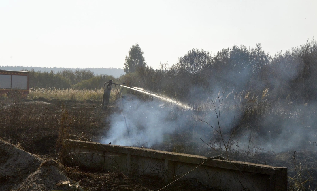 На Чернігівщині горить майже 200 гектарів торф'яних родовищ