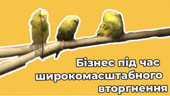 «Платили і чекали, чи доїде товар». Власниця зоомагазину в Мені Наталія Ступак про свій бізнес