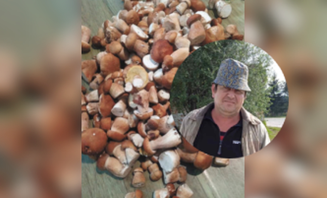 Попри обстріли і таблички "Міни": у прикордонних лісах сезон грибів