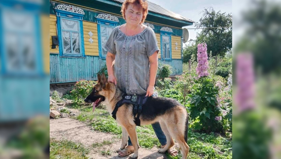 Бананка приїхала з-під Бахмута з приданим. Живе у Феськівці, чекає хазяїна