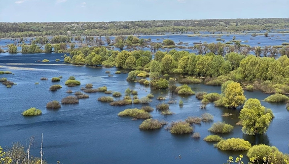 Рівень води в Десні в Новгород-Сіверському знову почав стрімко зростати