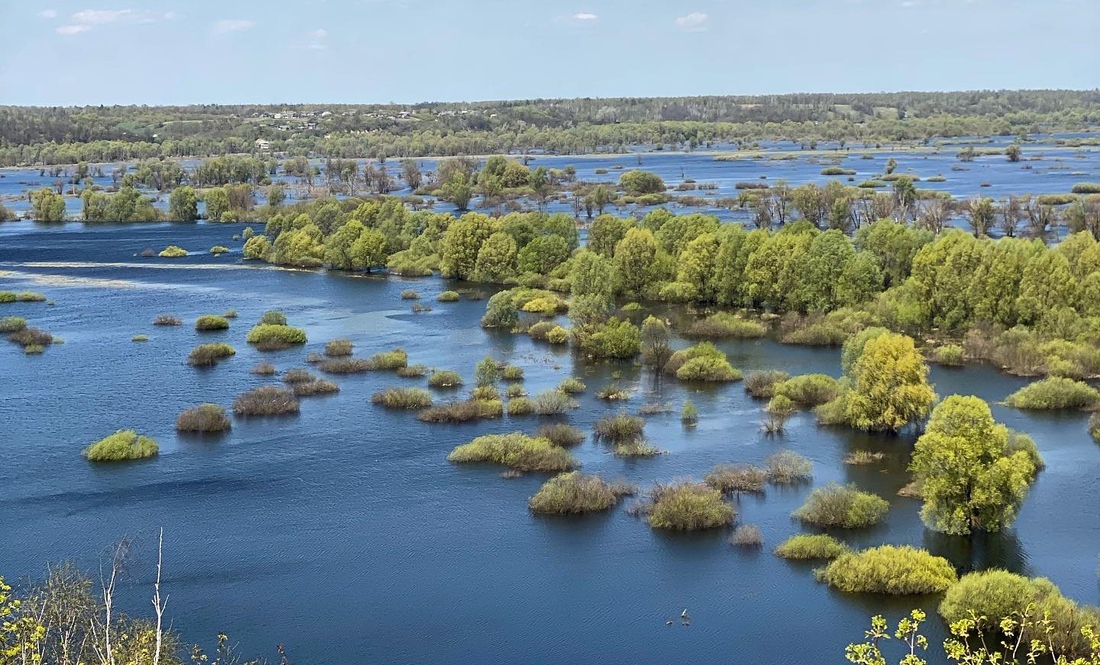 Рівень води в Десні в Новгород-Сіверському знову почав стрімко зростати