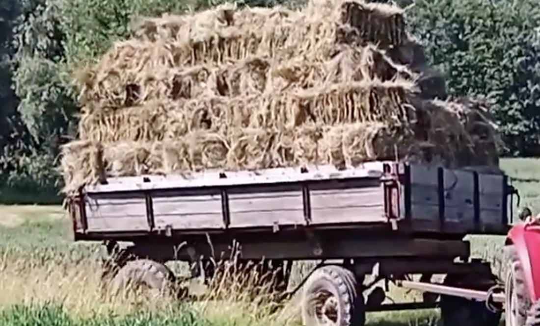 Житель Чернігівщини віддасть прикордонним корівкам три причепи сіна