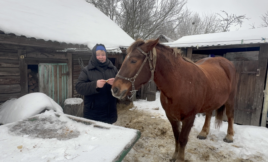 Приймати молоко у селі їздять конем: нові сани купили за півтори тисячі