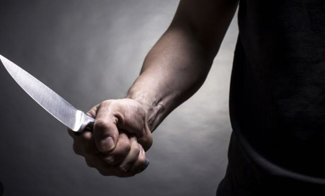 Вкусив: військовий тричі ударив ножем пса Умку