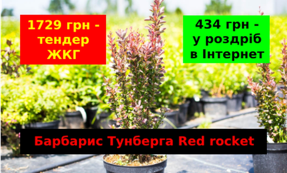 Мільйон боргу, майстер і два слюсаря: хто в Чернігові робитиме меморіал загиблим захисникам?