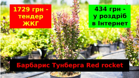 Мільйон боргу, майстер і два слюсаря: хто в Чернігові робитиме меморіал загиблим захисникам?