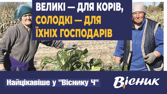 Як чистять буряки на Чернігівщині. Читайте у "Віснику"