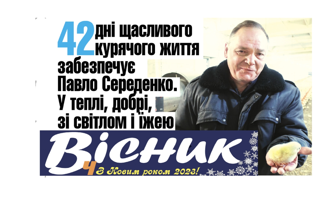 Як вирощують курчат на Чернігівщині та що можна виграти за передплату. Анонс передноворічного "Вісник Ч" на 22 грудня