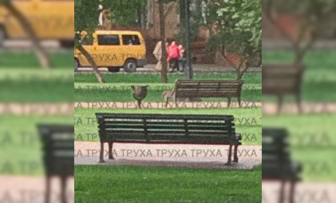 Працівники ТЦК затягнули чоловіка у жовтий бус: реакція чернігівців