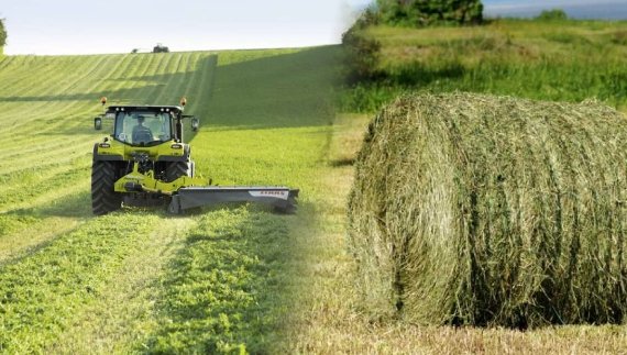 На Чернігівщині почали косити й заготовляти сіно: скільки це коштує
