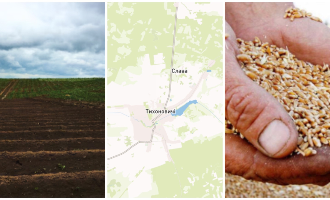 У прикордонному селі власники за паї отримали зерном. Із грошима складніше