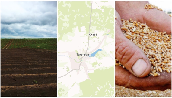 У прикордонному селі власники за паї отримали зерном. Із грошима складніше