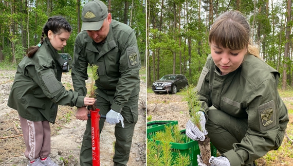 "Ліс пам'яті" з'явився у громаді на Чернігівщині