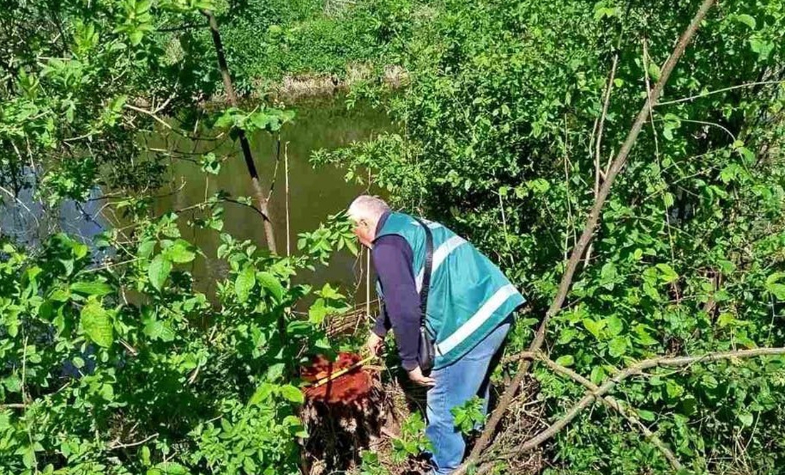 У прикордонній громаді незаконно попиляли дерева
