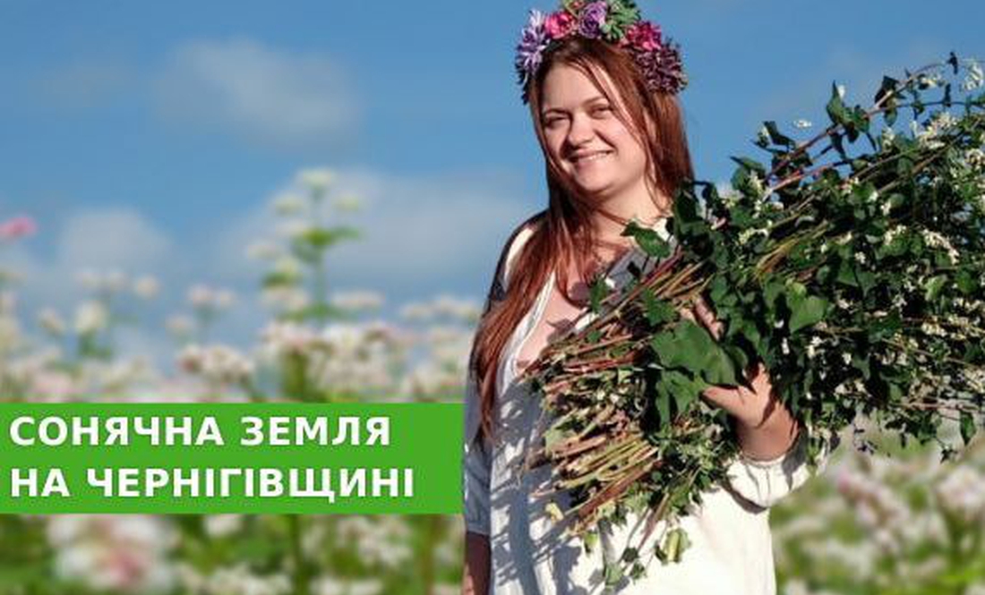 На Чернігівщині подружжя вирощує органіку та збирає трави для унікальних чаїв