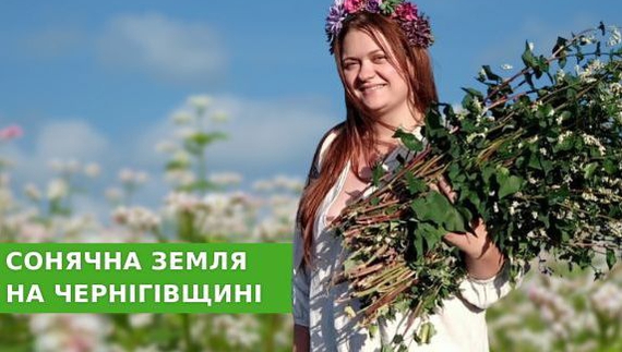 На Чернігівщині подружжя вирощує органіку та збирає трави для унікальних чаїв