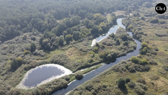 На Чернігівщині вдалося збільшити кількість заповідників