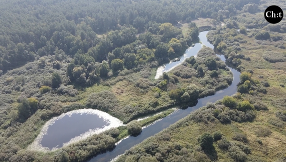 На Чернігівщині вдалося збільшити кількість заповідників