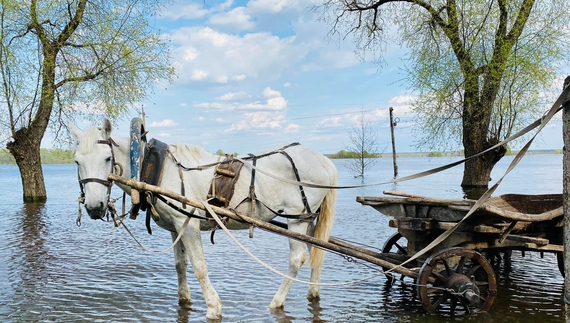 У Чернігові на Десні очікують підйому води на 1,5 метри, у Новгороді-Сіверському – вже затоплює вулиці